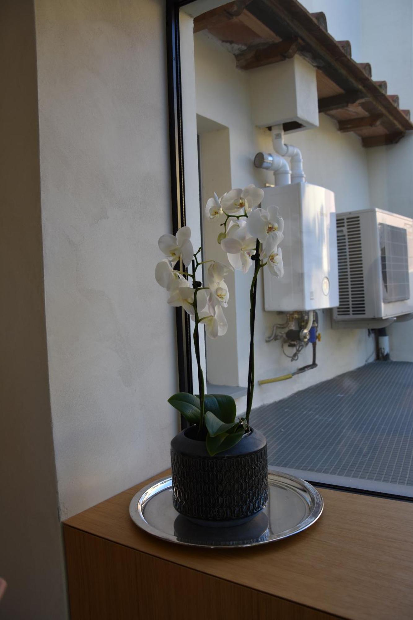 Appartement Il Giardino Di Dinda à Arezzo Extérieur photo